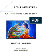 Apostila - Os Chacras No Xamanismo PDF