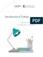 Guía Introducción Al Trabajo