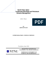 Arif Kuntadi NTNU MSC North Field Thesis PDF