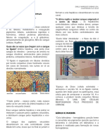 Patologia Do Sistema Hepatobiliar