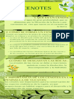 Cenotes PDF