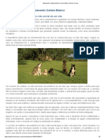 Estudando - Adestramento Canino Básico - Prime Cursos PDF