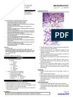 Microbiology 1.6 Gram Positive Bacilli - Dr. Sia-Cunco