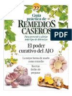 Remedios Caseros - Diciembre 2022 PDF