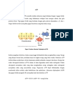 Figure 1 Struktur Adenosine Triphosphate (ATP)