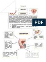 Prostatitis Esquemas