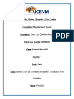 Informe Sobre Las Sociedades Mercantiles en El Extranjero 222580001-9