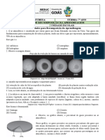 Aula 14 - 7º CN - Recomposição Da Aprendizagem Ok