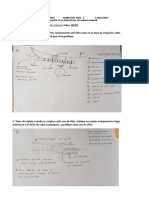 2° Examen Irrigaciones 2022-2