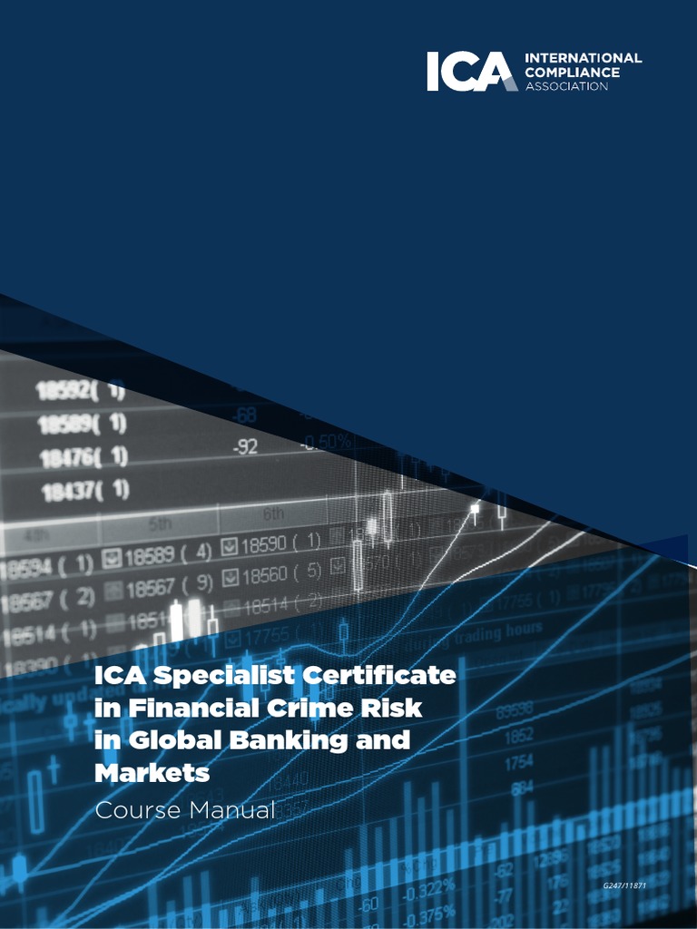 FinCrime Risk Manual | PDF | Money Laundering | Terrorism Financing