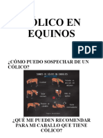 Recomendaciones para el tratamiento y prevención del cólico equino