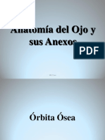 Anatomía Del Ojo y Anexos PDF