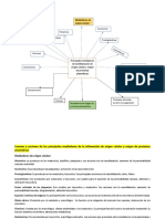 Mapa Conceptual Mediadores de La Inflamación - Patología