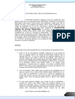 Demanda de Adjudicacion de Apoyo Transitorio