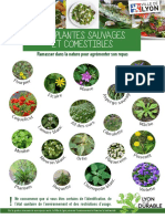 Fiche Peda Plantes Comestibles