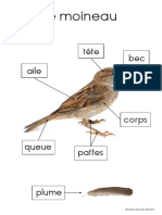 Fiche Vocabulaire Oiseau Moineau PDF