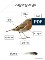 Activite Partie Du Corps Oiseau Maternelle Rouge Gorge PDF