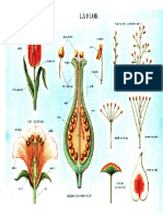 La Flor PDF