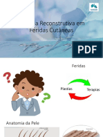 Cirurgia Reconstrutiva em Feridas Cutâneas AULA 11.7.22 UFRPE PDF