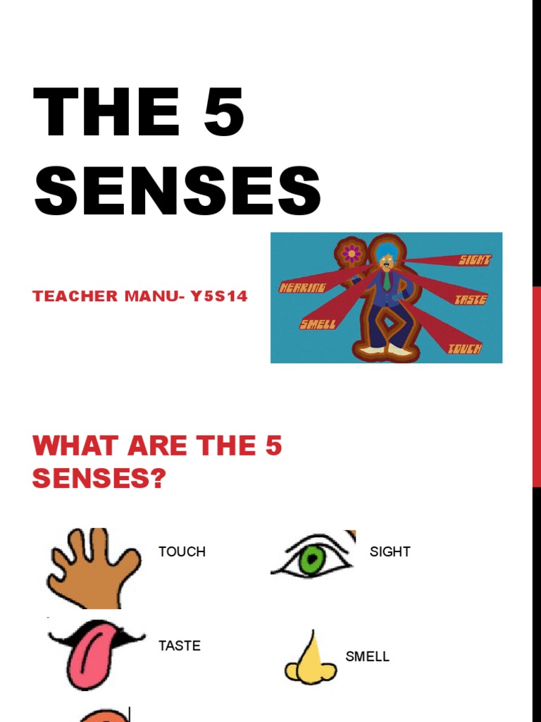 The Five Senses PDF
