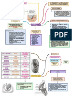 Brain Mapping de Cirugia