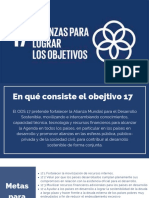 Presentacion Ods 17