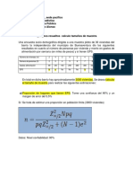 Ejemplos Resueltos Calculo de Tamanos de Muestra (04-06-2022) PDF
