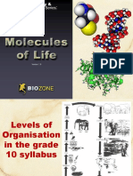 2023 Biological Molecules PPT SF PDF