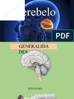 Funciones y estructura del cerebelo