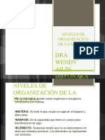 NIVELES DE ORGANIZACIÓN DE LA MATERIA - Odp