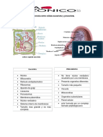 Tarea de Elda Muestras Biologicas