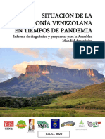 Informe Situacion Amazonia Venezuela. AMPA 2020 1