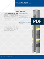 Permanent Packers PDF