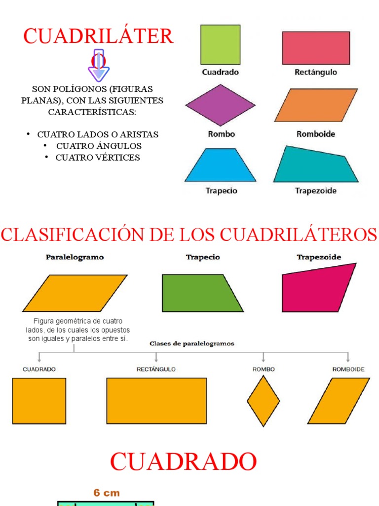 Cuadriláteros: clasificación y características de los polígonos de 4 ...
