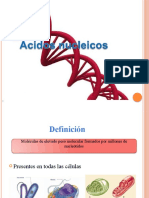 Acidos Nucleicos