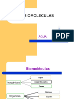 Biomoleculas Inorganicas