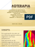 Tema Nº3 Termoterapia PDF