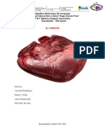 Jornada Cientifica Corazon