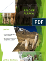 Fibra de Alpaca PDF