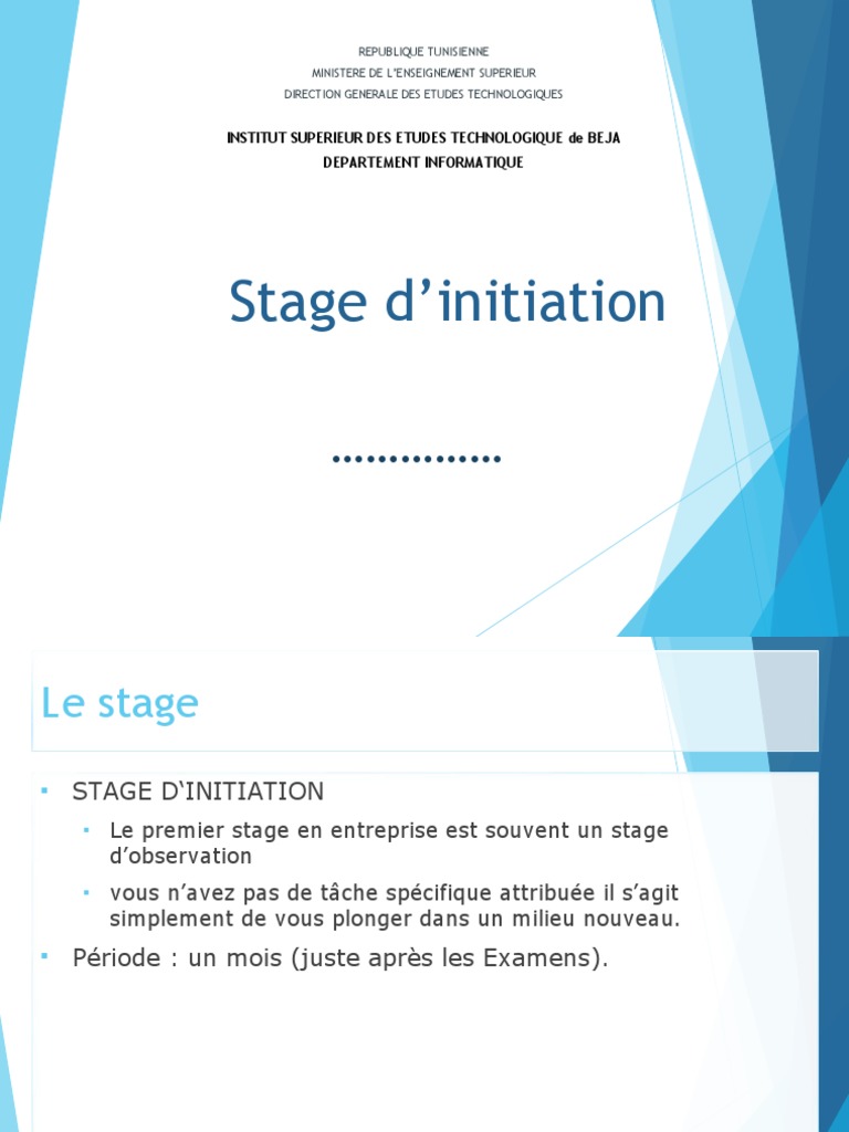 Guide de Présentation de Stage d'Initiation | PDF | Informatique | Logiciel