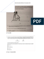 Exercicios Exames Fisica 12ano