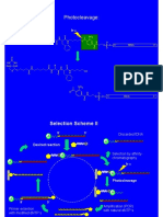 2023-03-24 Printed As PDF Presi Pt05