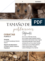 Practica 5. LDE PDF