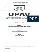 Ensayo Laboral PDF