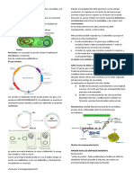 Biología Molecular FUNDAMENTOS