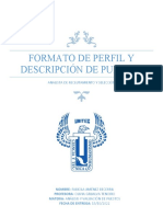 Formato de Perfil y Descripcion de Puestos 1-1