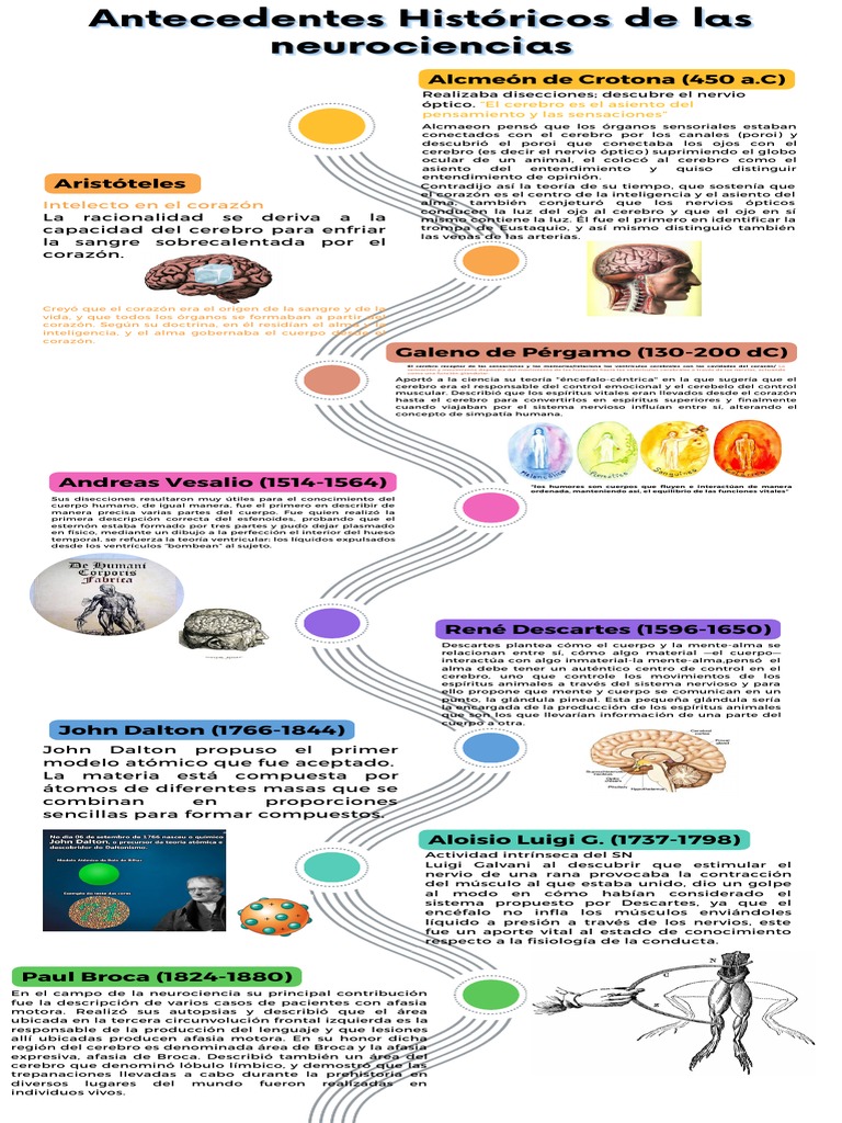 Historia de las Neurociencias y sus Pioneros | PDF | Cerebro | Neurociencia