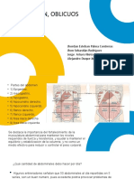 Diapositivas Presentacion Ejercicio Abdomen HOY