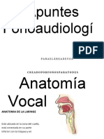 Apuntes Fonoaudiología Voz