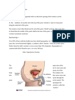 HYPOSPADIUS